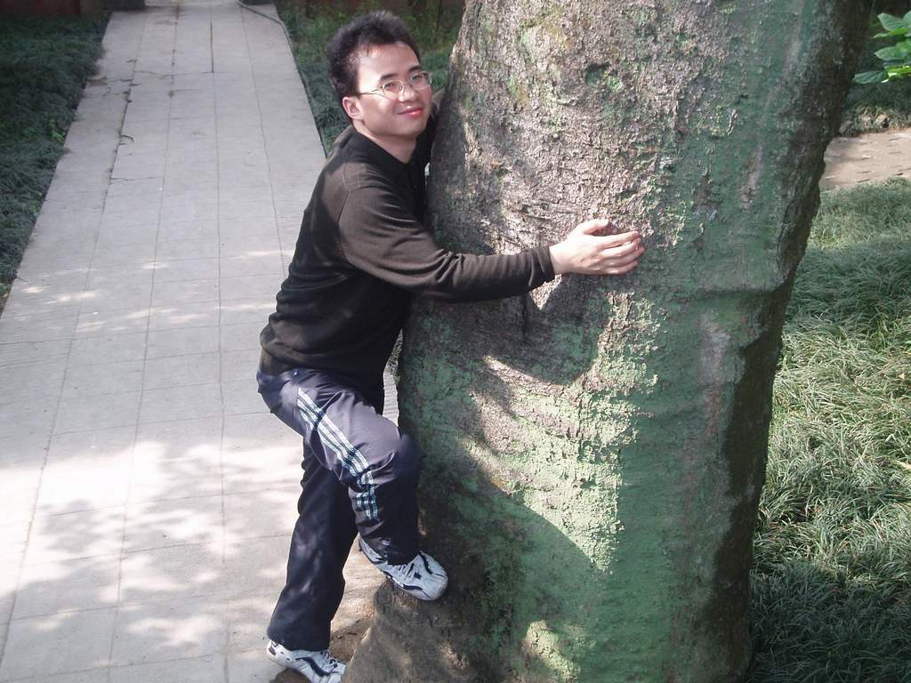好大一棵树