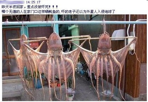 猛