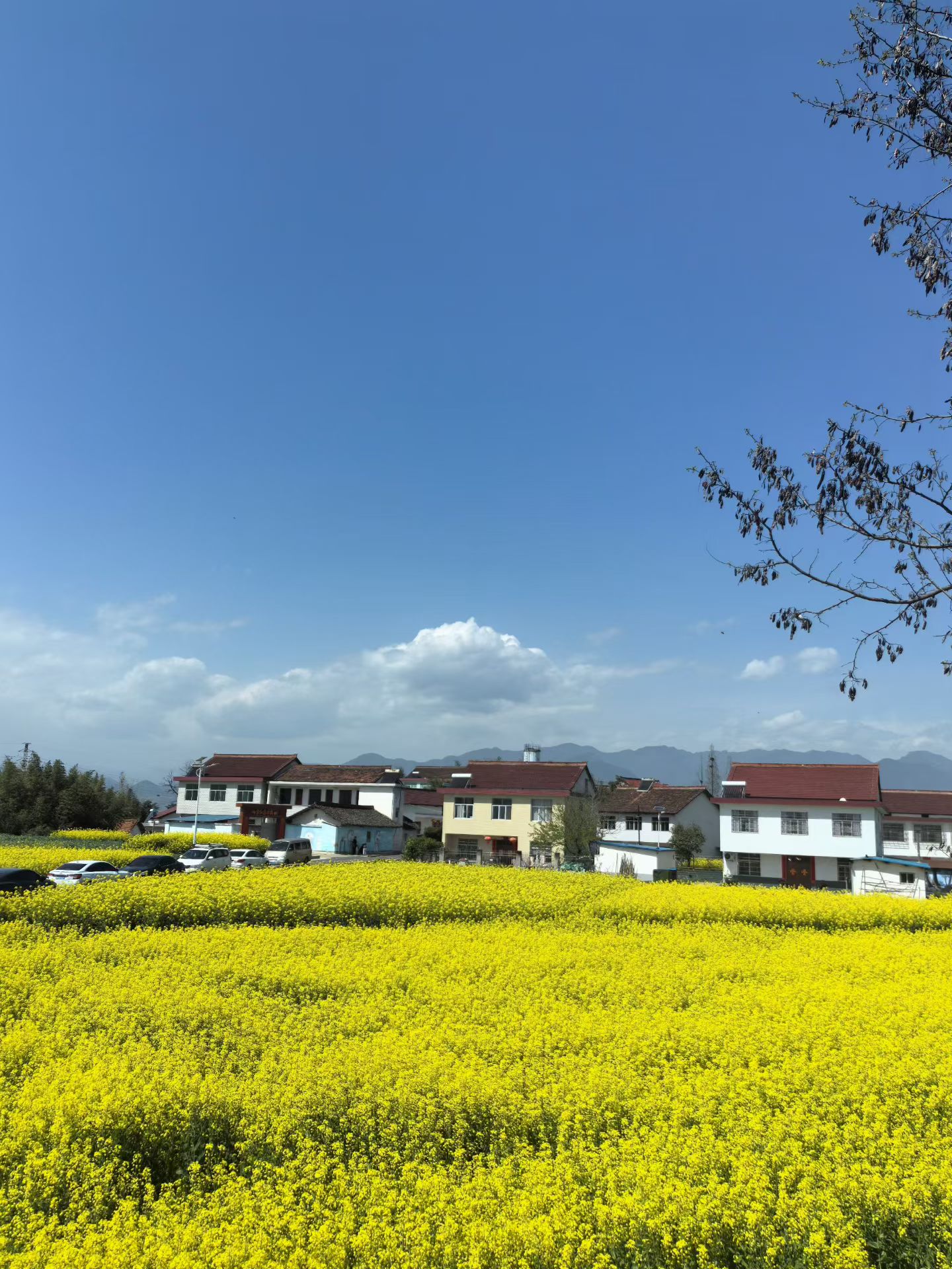 汉中风光