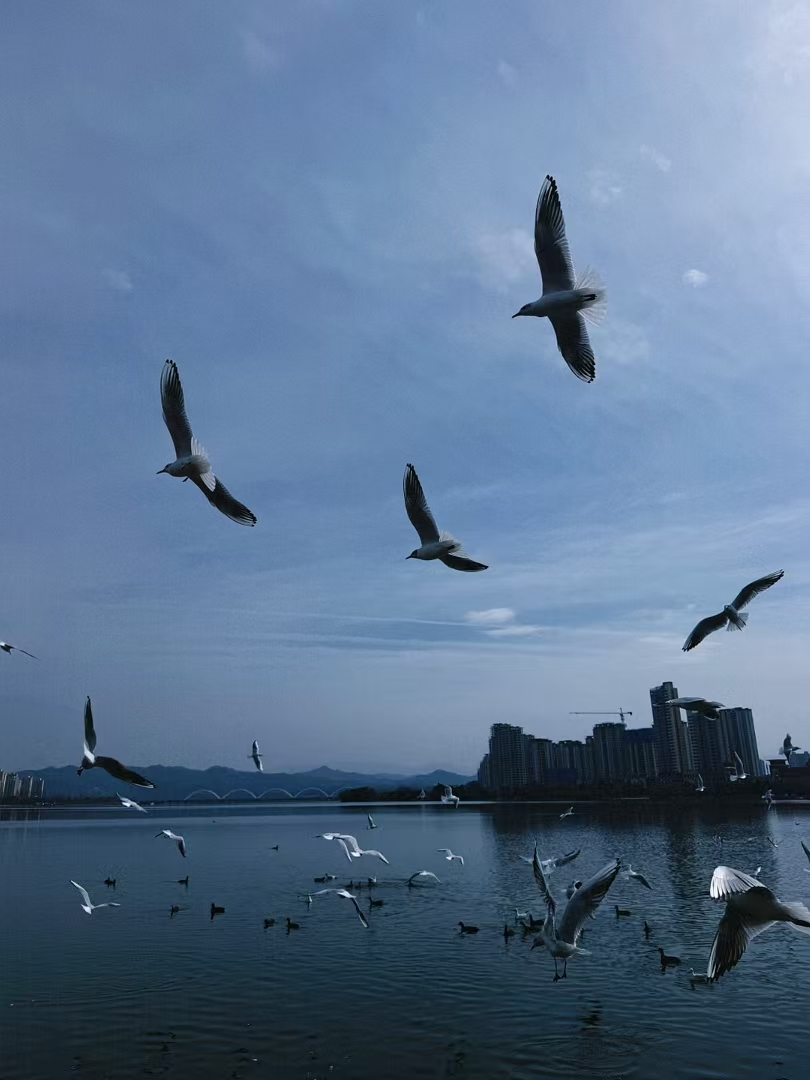 汉中风光